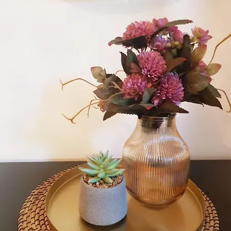 Apartment Beogradjanka Centar Cozy *